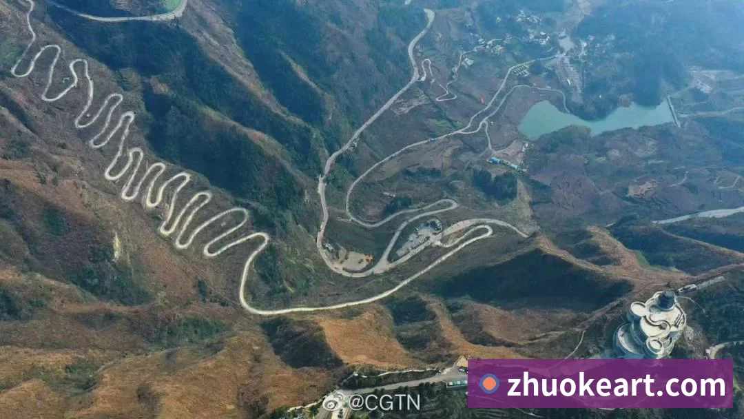 体育直播服务